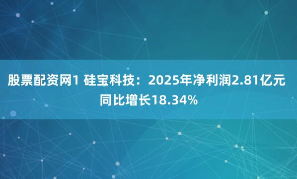 股票配资网1 硅宝科技：2025年净利润2.81亿元 同比增长18.34%
