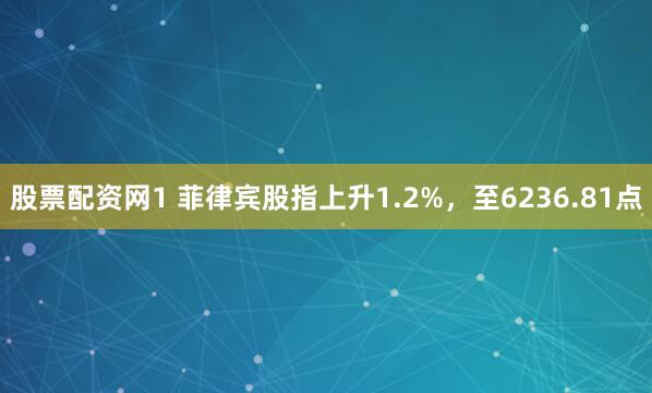 股票配资网1 菲律宾股指上升1.2%，至6236.81点