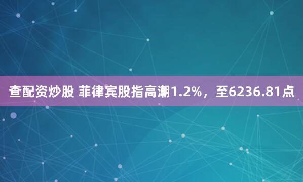 查配资炒股 菲律宾股指高潮1.2%，至6236.81点