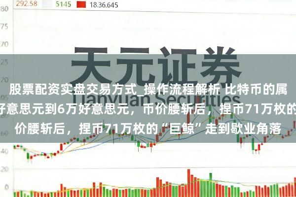 股票配资实盘交易方式_操作流程解析 比特币的属性依然变了！从12万好意思元到6万好意思元，币价腰斩后，捏币71万枚的“巨鲸”走到歇业角落