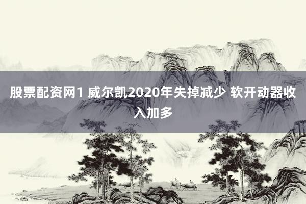 股票配资网1 威尔凯2020年失掉减少 软开动器收入加多