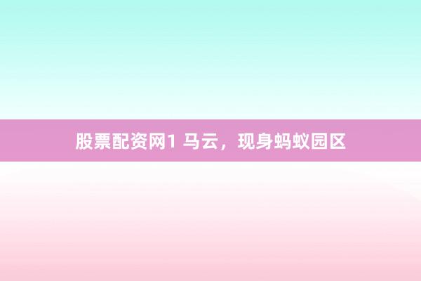 股票配资网1 马云，现身蚂蚁园区