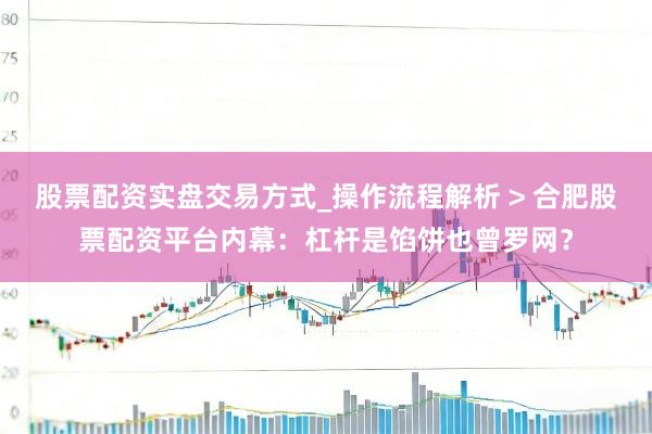 股票配资实盘交易方式_操作流程解析 > 合肥股票配资平台内幕：杠杆是馅饼也曾罗网？